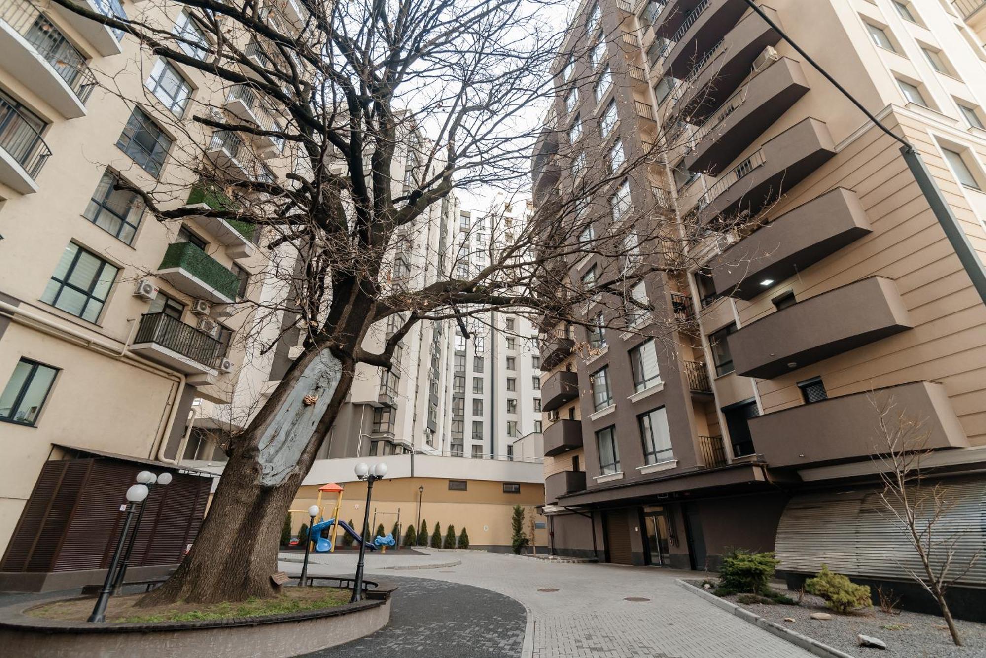 Circ & Rentmi Chisinau