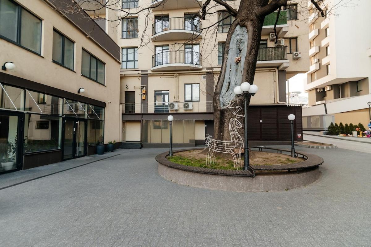 Circ & Rentmi Chisinau